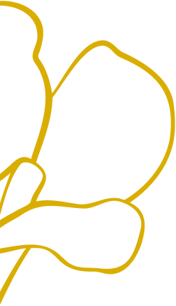 Decorative element